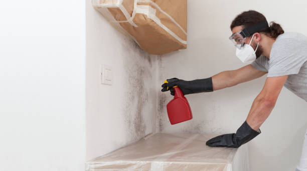 Professional Black Mold Remediation technician working in Port Jefferson, NY