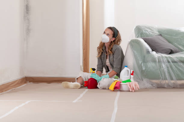 Reliable Black Mold Remediation contractor in Port Jefferson, NY by 24 Hour Mold Removal